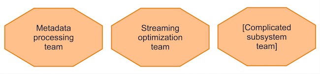 Complicated Subsystem Teams
